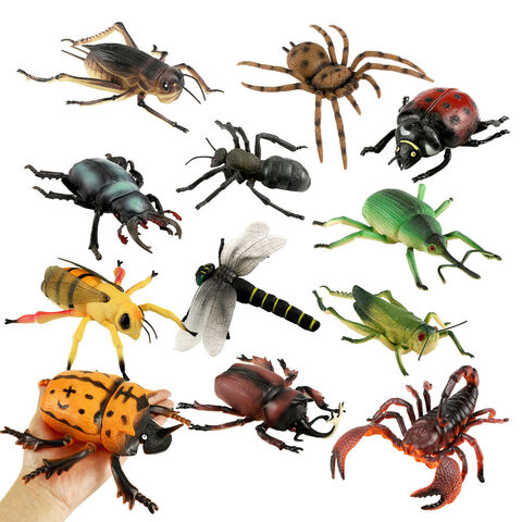 Brinquedo de plástico realista de inseto de 1 polegada, modelo animal oco for sale at factory direct price