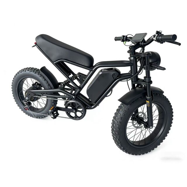 Moto Électrique Tout-Terrain pour Adultes, Moto Électrique Off-Road avec Plusieurs Modes de Conduite, E-Moto Durable pour l'Extérieur