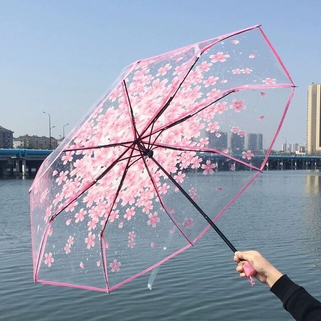 Transparent Umbrella, Student Triple Fold Umbrella, Long Handle Umbrella, Personalized Artistic Umbrella