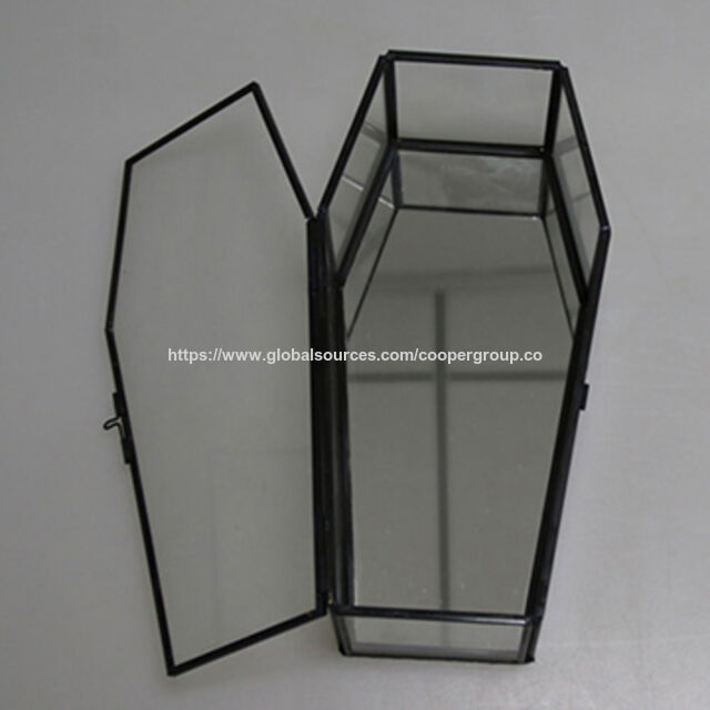 حاوية زجاجية لديكور المناظر الطبيعية المصغرة بألوان وأحجام متنوعة for sale at factory direct price
