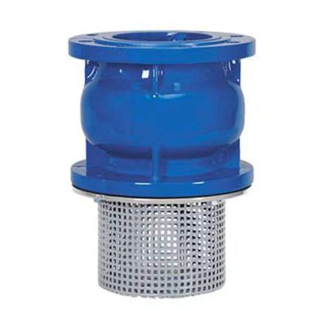 Válvula de Pé de Ferro Dúctil de Baixo Preço Atacado de Fábrica ODM/OEM/OBM para Água