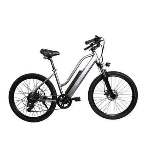 Pedelecs für den Stadtverkehr und Freizeitfahrten