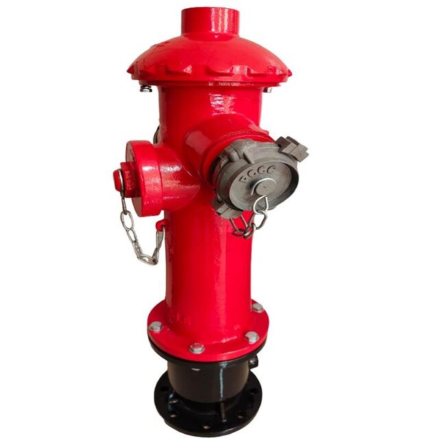 Factory Direct High Quality China Wholesale 4-inch Dn100 Outdoor Fire ...