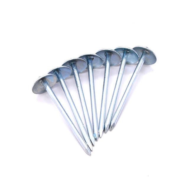 Clous de Toiture à Tête Ronde, Jauge 8x3" et 8x4", Zingués, Vente Directe d'Usine