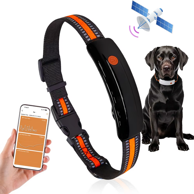 Qcool BCG Technology Pelacakan Gerakan Pemantauan Aktivitas Alarm Hewan Peliharaan Hilang 4G LTE TDD Peringatan Hewan Peliharaan Kabur Pelacak GPS Anjing for sale at factory direct price