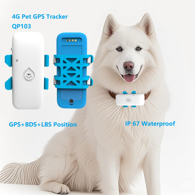 QP103 Cheapest Mobile Phone App Hidden Enfants Animal Child Cat Dog Pet Mini Gps Tracker For Kids Personal for sale at factory direct price