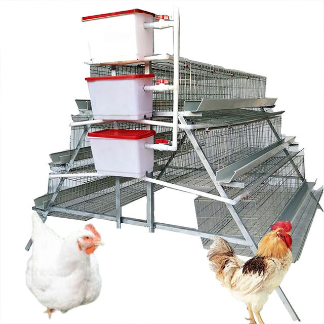 Cercados con estructura metálica para la cría segura de aves de corral en granjas