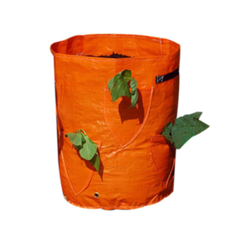 Sacs de Culture de Fraises Écologiques et Robustes