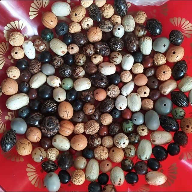 Gemischte natürliche Bodhi-Samen lose Perlen DIY Autoanhänger Schlüsselanhänger Wenwan Mala Herstellung Zubehör Multi-Größe Rohe Samen Geschenk for sale at factory direct price