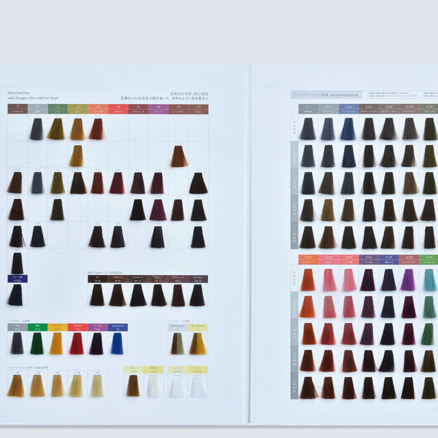 Brochures Professionnelles Imprimées pour Référence de Couleur de Cheveux for sale at factory direct price