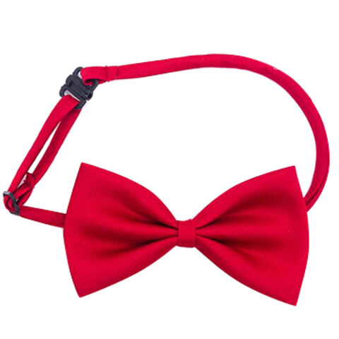 Fliege, modisches Herren-Accessoire, ein Muss
