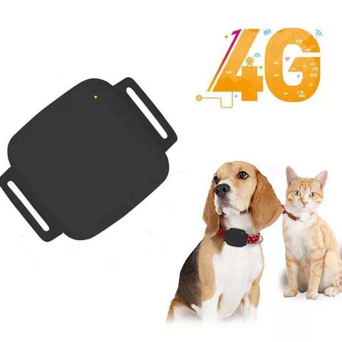 Software Platform High Precision Pet GPS Tracker GPS Tracking Device for Dogs and Cats for sale at factory direct price