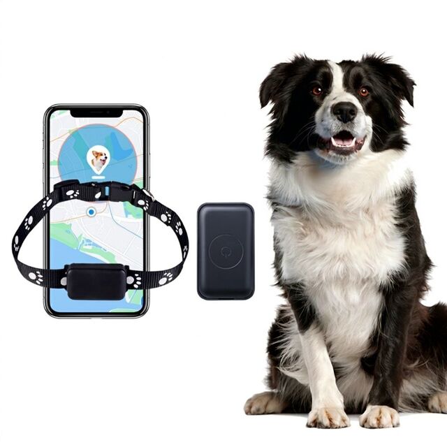 Waterproof Smart Mini GPS Pet Tracker Real Time Anti Lost for sale at factory direct price