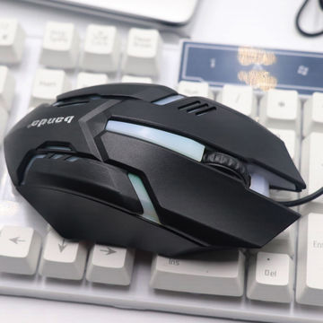 China Factory 2019 NEW Model Gaming wired Mouse Big Size new beetle ...