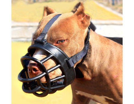 dog muzzles for large dogs