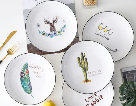 dish plates set