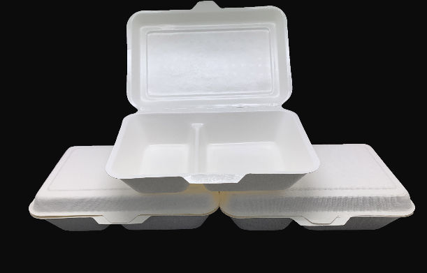 China 1000 Ml 2 Compartment Lunch Box Disposable Pulp Food Container On Global Sources Lunch Box Pulp Molded Box Pulp Molded Products