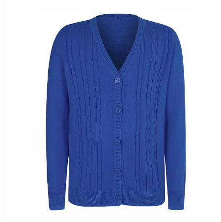 navy blue cardigan school