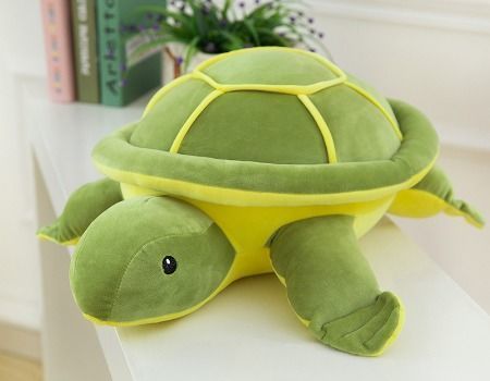 cute turtle plush