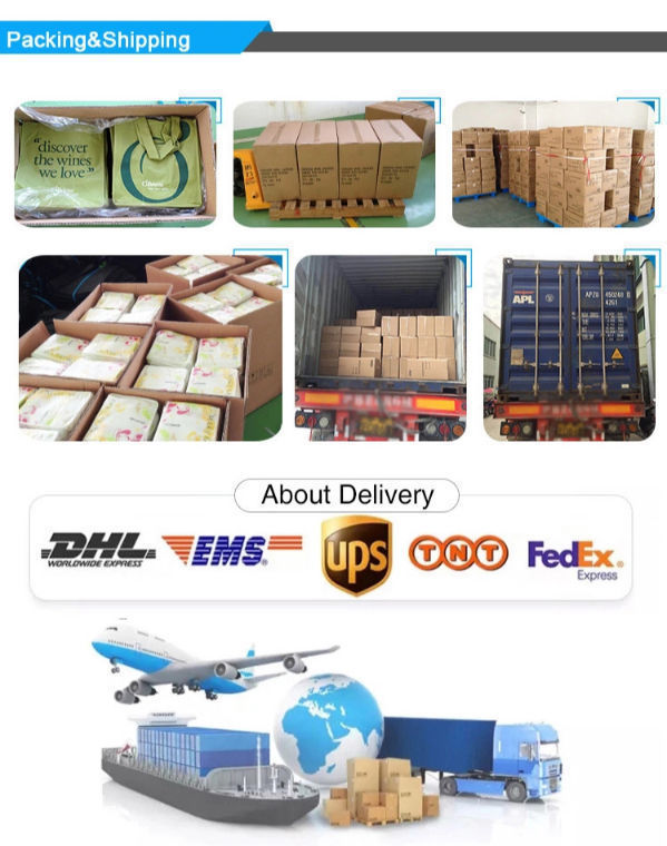 disposable insulated bags for food transport