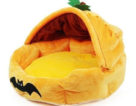 pumpkin dog bed