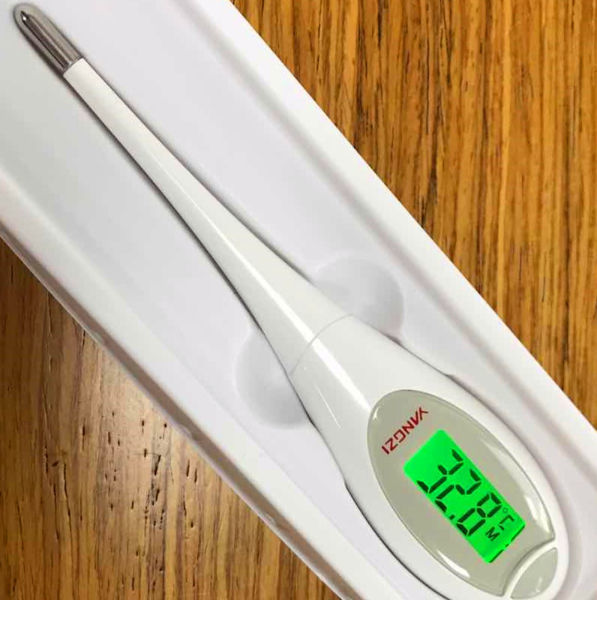 digital stick thermometer