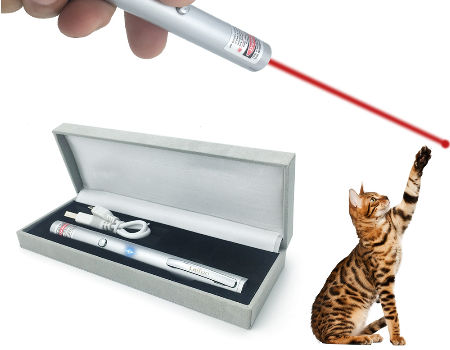 rechargeable cat laser