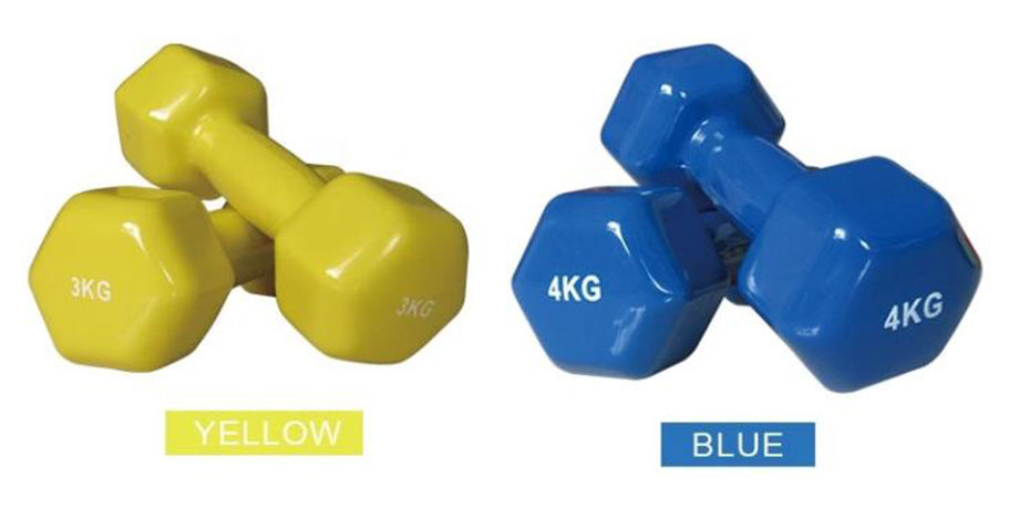 vinyl dumbbells for sale