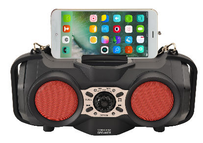 portable wireless radio