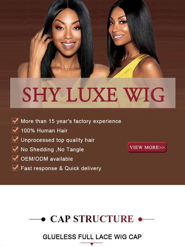 wholesale 100 human hair lace front wigs