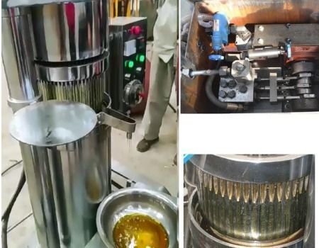 Hydraulic peanut Sesame Seed Castor Oil Extractor Press Machine Price supplier