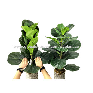 Hotel Home Decoration Fake Fiddle Leaf Fig Tree Bonsai Artificial Potted  Plant Banyan Tree - China Artificial Plant and Artificial Tree price