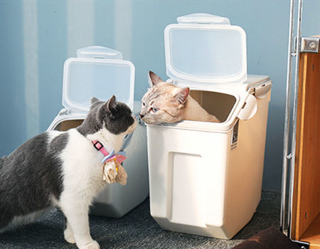 Buy Wholesale China Cat Food Bucket Sealed Storage Box Pet Insect