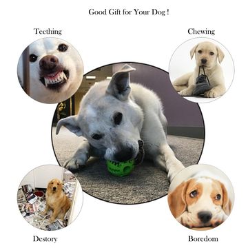 https://p.globalsources.com/IMAGES/PDT/B5085118237/IQ-Treat-Ball-Food-Dispensing-Dog-Toy-Tooth-Clean.jpg