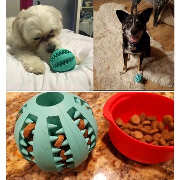 https://p.globalsources.com/IMAGES/PDT/B5085118240/IQ-Treat-Ball-Food-Dispensing-Dog-Toy-Tooth-Clean.jpg