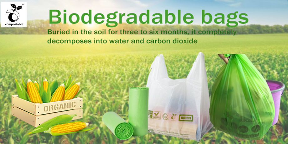 compostable bolsas in green bin