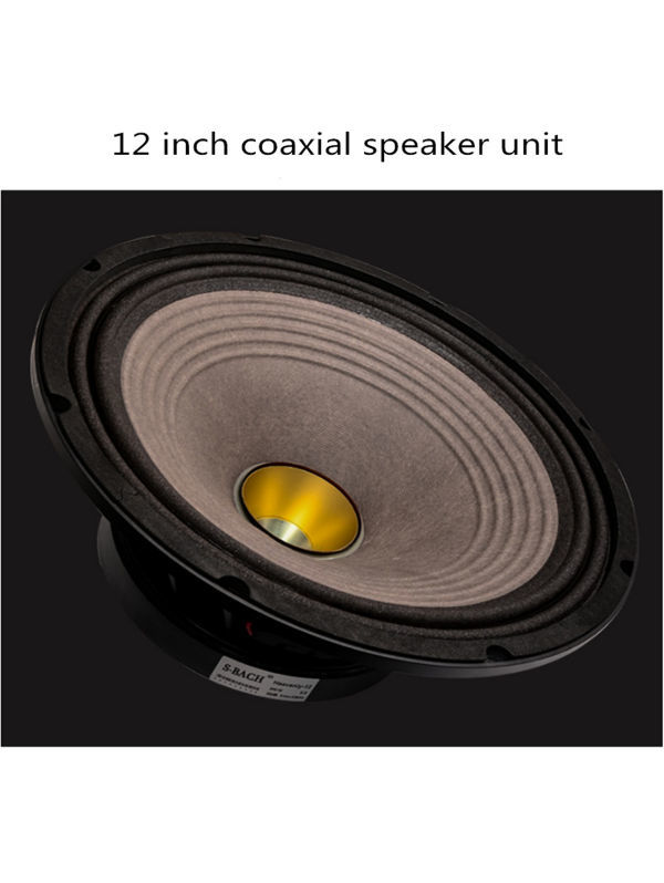 H122 SBACH 12inch/15inch coaxial speaker 2 way 2unit HiFi monitor