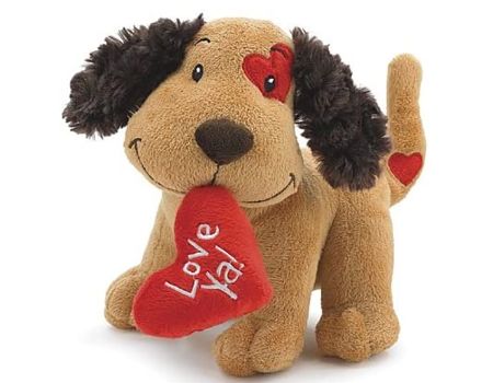custom dog teddy