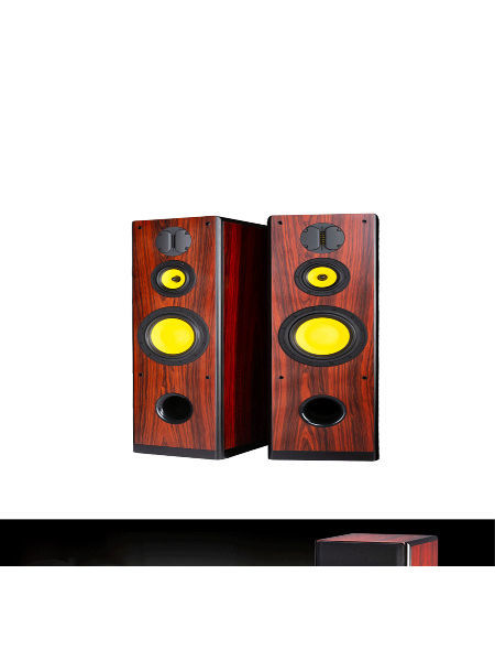 Hivi M-078 Hifi Hi-end Speaker Inch Floor Speaker Uses Hivi D8g