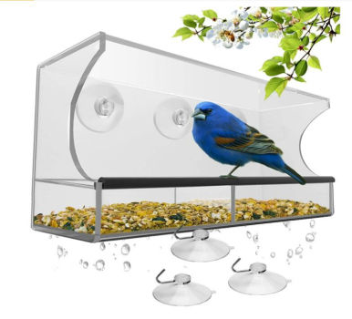 Window Bird Feeder with Strong Suction Cups and Seed Tray – Nature's Hangout