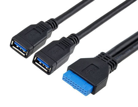 Lysee Data Cables 2 Port 25cm USB 3.0 Type A Female to Motherboard Header 20-Pin Cable Adapter 