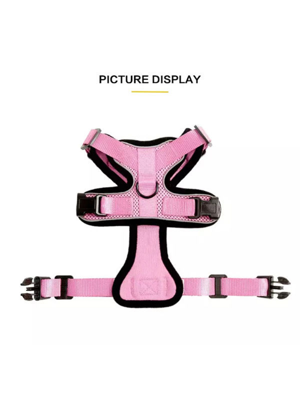 China custom adjustable pet cat leather chest harness for wholesale