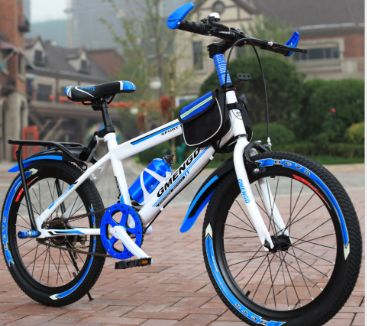 22 inch boys bike