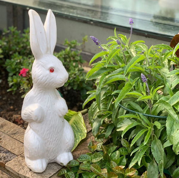 Plastic Simulation White Rabbit Garden Sculptures Decorate The Or Hunting Decoys Home Decor Outdoor Leisure Supplier China On Globalsources Com - White Rabbit Home Decor