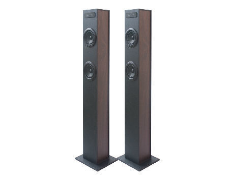 double tower speaker