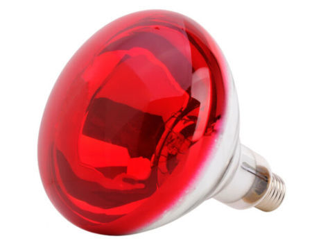 Infrared Red Heat Light Therapeutic Therapy Lamp Bulb Pain Relief Bulb ...