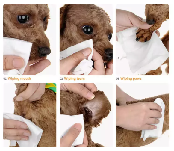 dog shampoo wipes