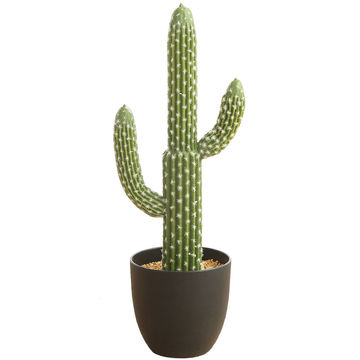 Bonsái de cactus suculento artificial, escenario de bricolaje, jardín, fiesta en casa de vacaciones