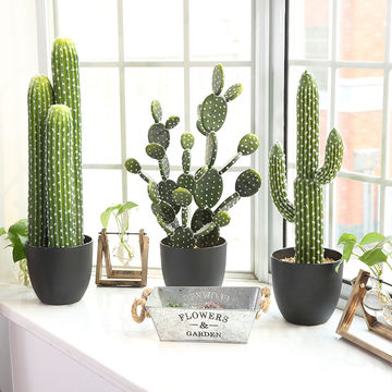 Bonsái de cactus suculento artificial, escenario de bricolaje, jardín, fiesta en casa de vacaciones