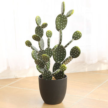 Bonsái de cactus suculento artificial, escenario de bricolaje, jardín, fiesta en casa de vacaciones